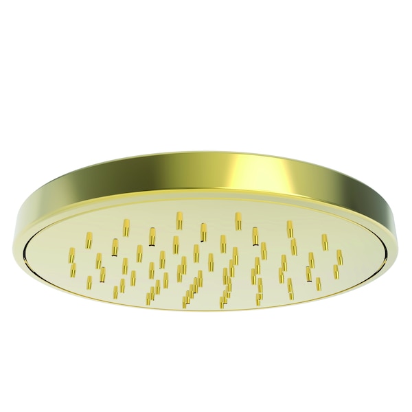 Newport Brass Shower Head, Forever Brass (PVD), Ceiling 2153-01 - main